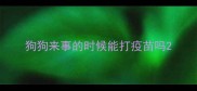 狗狗来事的时候能打疫苗吗