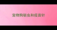 宠物狗驱虫和疫苗针