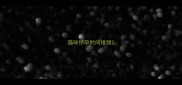 猫咪怀孕时间推测