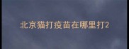 北京猫打疫苗在哪里打
