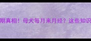 狗狗生理期真相母犬每月来月经这些知识新手必看