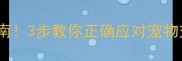 狗狗被车撞后紧急处理指南3步教你正确应对宠物交通事故附急救视频