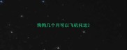 狗狗几个月可以飞机托运