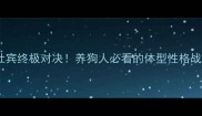 哈士奇杜宾终极对决养狗人必看的体型性格战斗力全