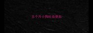 五个月小狗吐虫便血