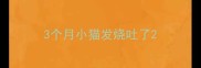 3个月小猫发烧吐了