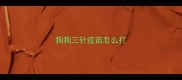 狗狗三针疫苗怎么打