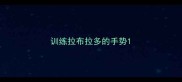 训练拉布拉多的手势