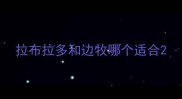 拉布拉多和边牧哪个适合