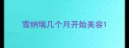 雪纳瑞几个月开始美容