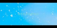 拉布拉多长相特点