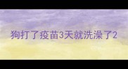 狗打了疫苗3天就洗澡了