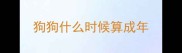 狗狗什么时候算成年