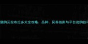 天猫购买拉布拉多犬全攻略品种饲养指南与平台选购技巧