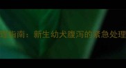 母狗产后护理指南新生幼犬腹泻的紧急处理与预防措施