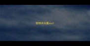 宠物沐浴露sos
