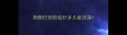 狗狗打完防疫针多久能洗澡