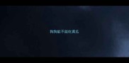 狗狗能不能吃黄瓜
