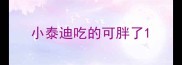 小泰迪吃的可胖了