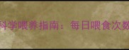 6个月金毛幼犬科学喂养指南每日喂食次数与营养配比全