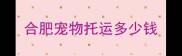 合肥宠物托运多少钱
