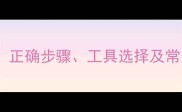 猫咪毛发修剪全攻略正确步骤工具选择及常见误区新手必看