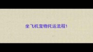 坐飞机宠物托运流程