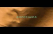 成年拉布拉多站起来多高