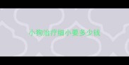 小狗治疗细小要多少钱