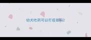 幼犬吃药可以打疫苗吗