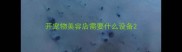 开宠物美容店需要什么设备