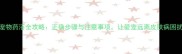 宠物药浴全攻略正确步骤与注意事项让爱宠远离皮肤病困扰