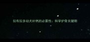 拉布拉多幼犬补钙的必要性科学护骨关键期