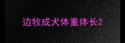 边牧成犬体重体长