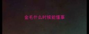 金毛什么时候能懂事