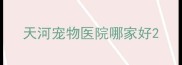 天河宠物医院哪家好