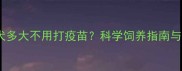 泰迪犬幼犬多大不用打疫苗科学饲养指南与权威解答