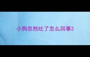 小狗忽然吐了怎么回事