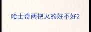 哈士奇两把火的好不好