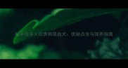 拉布拉多白贵宾混血犬优缺点全与饲养指南