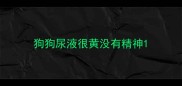 狗狗尿液很黄没有精神