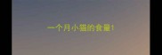 一个月小猫的食量
