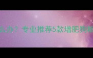 拉布拉多长肉怎么办专业推荐5款增肥狗粮及科学喂养指南