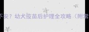 狗狗接种疫苗后兴奋不安幼犬疫苗后护理全攻略附常见反应及应对措施