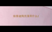 给泰迪狗洗澡用什么