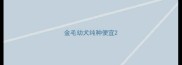 金毛幼犬纯种便宜