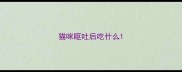 猫咪呕吐后吃什么