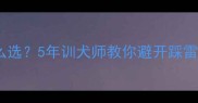 金毛洗澡沐浴露怎么选5年训犬师教你避开踩雷附保姆级洗澡流程