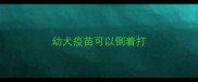 幼犬疫苗可以倒着打
