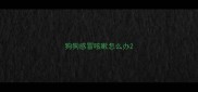 狗狗感冒咳嗽怎么办